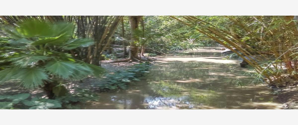 Foto de rancho en venta en o o, santa rosa treinta, tlaltizapán de zapata, morelos, 6184838 No. 04