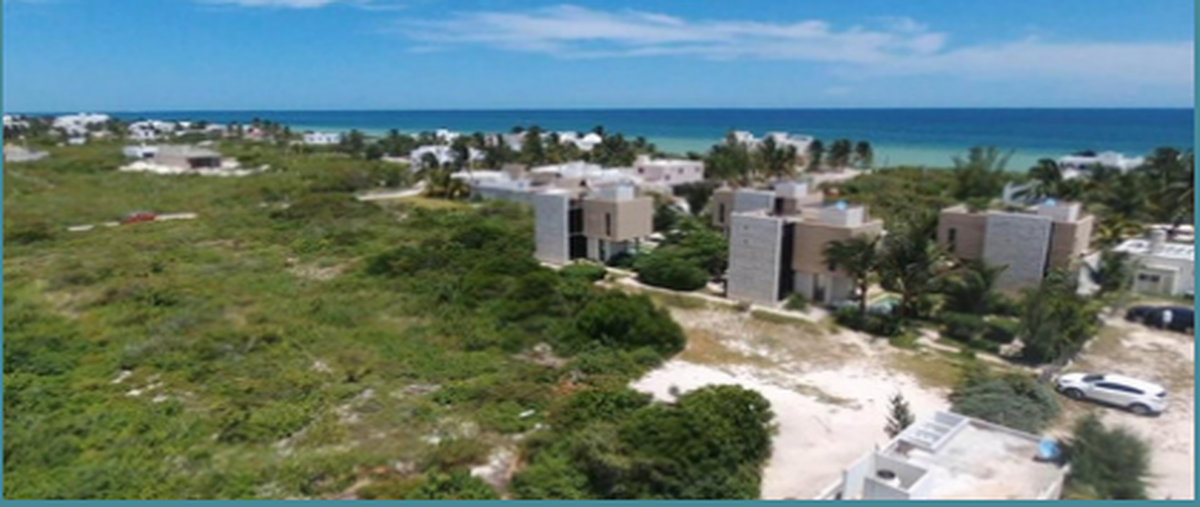 Foto de terreno habitacional en o , san diego, dzemul, yucatán, 0 foto 05 Foto de terreno habitacional en venta en o , san diego, dzemul, yucatán, 0 No. 05