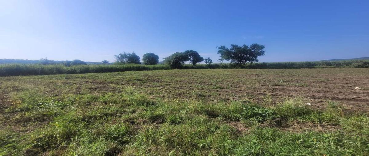 Foto de terreno habitacional en venta en  , oacalco, yautepec, morelos, 0 No. 03