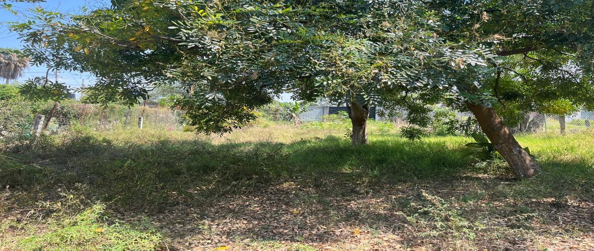 Foto de terreno habitacional en venta en  , oacalco, yautepec, morelos, 0 No. 01