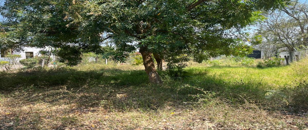 Foto de terreno habitacional en venta en  , oacalco, yautepec, morelos, 0 No. 02