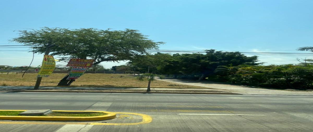 Foto de terreno habitacional en venta en  , oacalco, yautepec, morelos, 0 No. 03