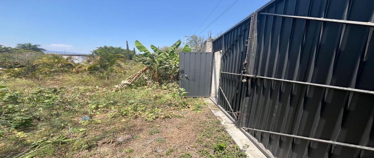 Foto de terreno habitacional en venta en  , oacalco, yautepec, morelos, 0 No. 05