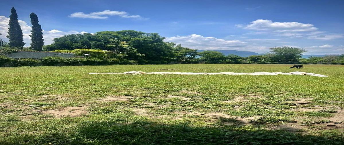 Foto de terreno habitacional en , oacalco, yautepec, morelos, 0 foto 07 Foto de terreno habitacional en venta en , oacalco, yautepec, morelos, 0 No. 07