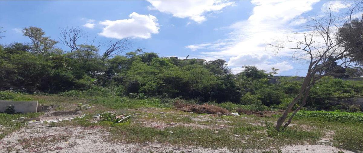 Foto de terreno habitacional en venta en - -, oasis valsequillo, puebla, puebla, 27895898 No. 03