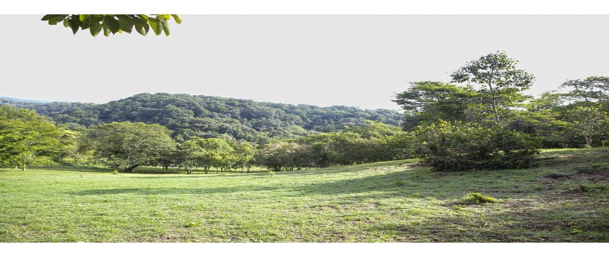 Foto de terreno habitacional en venta en  , oasis, veracruz, veracruz de ignacio de la llave, 0 No. 03