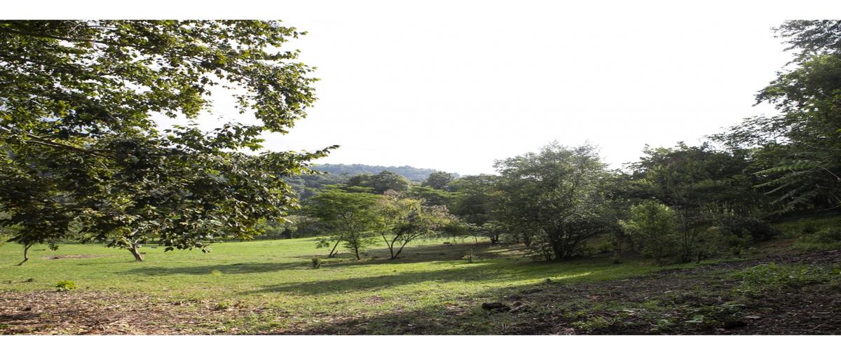 Foto de terreno habitacional en venta en  , oasis, veracruz, veracruz de ignacio de la llave, 0 No. 04