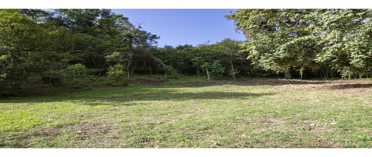 Foto de terreno habitacional en venta en  , oasis, veracruz, veracruz de ignacio de la llave, 0 No. 05