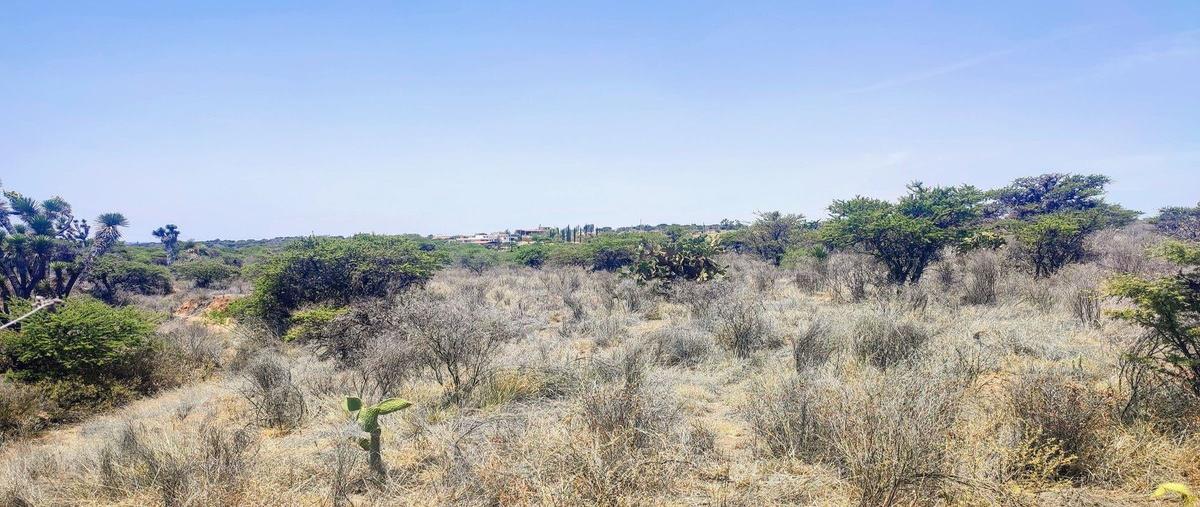 Foto de terreno habitacional en oasisasientosags , la tinajuela, asientos, aguascalientes, 0 foto 04 Foto de terreno habitacional en venta en oasisasientosags , la tinajuela, asientos, aguascalientes, 0 No. 04