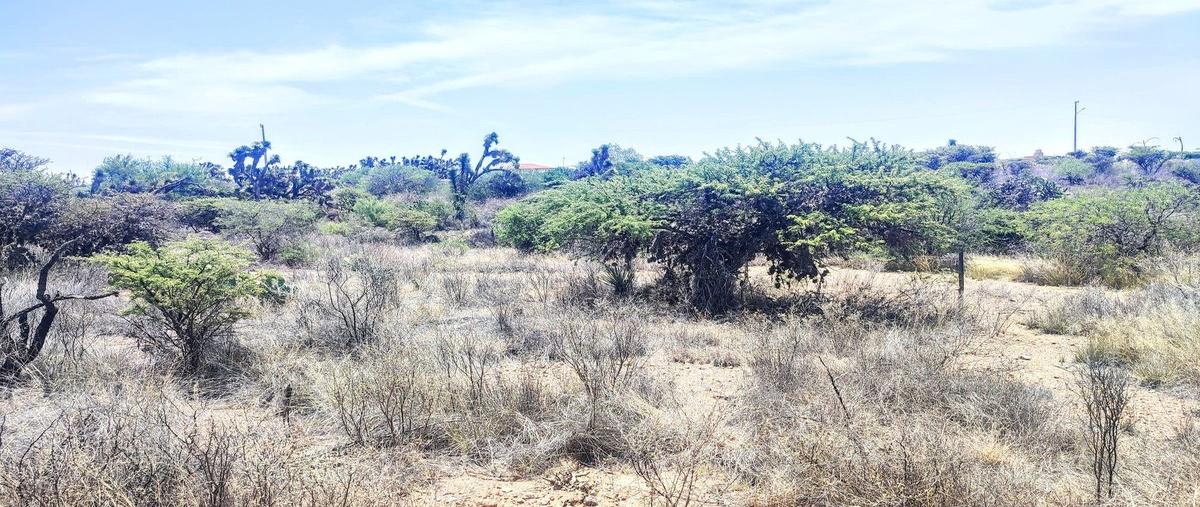 Foto de terreno habitacional en oasisasientosags , la tinajuela, asientos, aguascalientes, 0 foto 05 Foto de terreno habitacional en venta en oasisasientosags , la tinajuela, asientos, aguascalientes, 0 No. 05