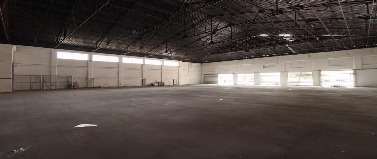 Foto de casa en renta en oaxaca , 1 de mayo, reynosa, tamaulipas, 28093882 No. 03