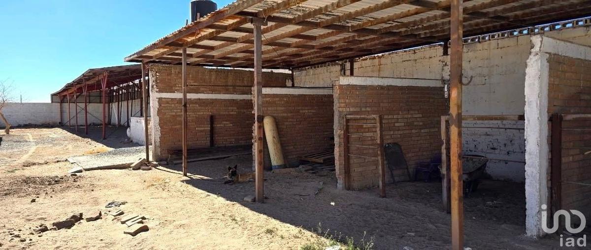 Foto de rancho en venta en oaxaca 66, granjas de chapultepec, juárez, chihuahua, 0 No. 05