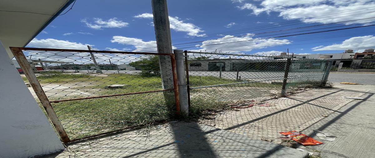 Foto de terreno habitacional en renta en oaxaca , fidel velásquez, campeche, campeche, 29753754 No. 04