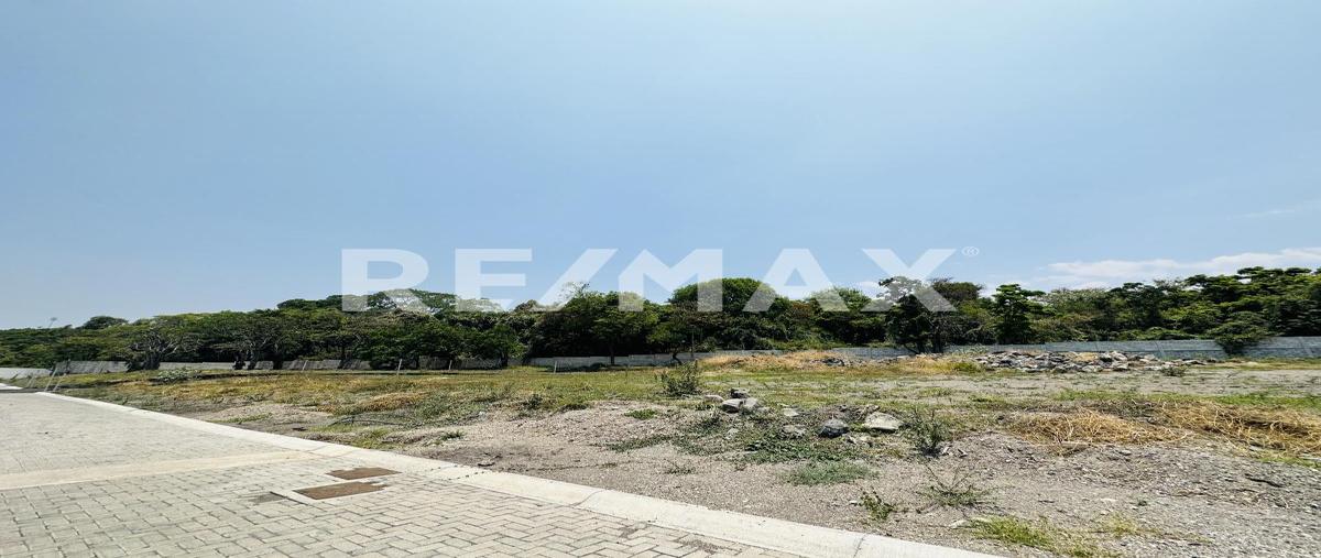 Foto de terreno habitacional en venta en oaxtepec, centro , oaxtepec centro, yautepec, morelos, 0 No. 05