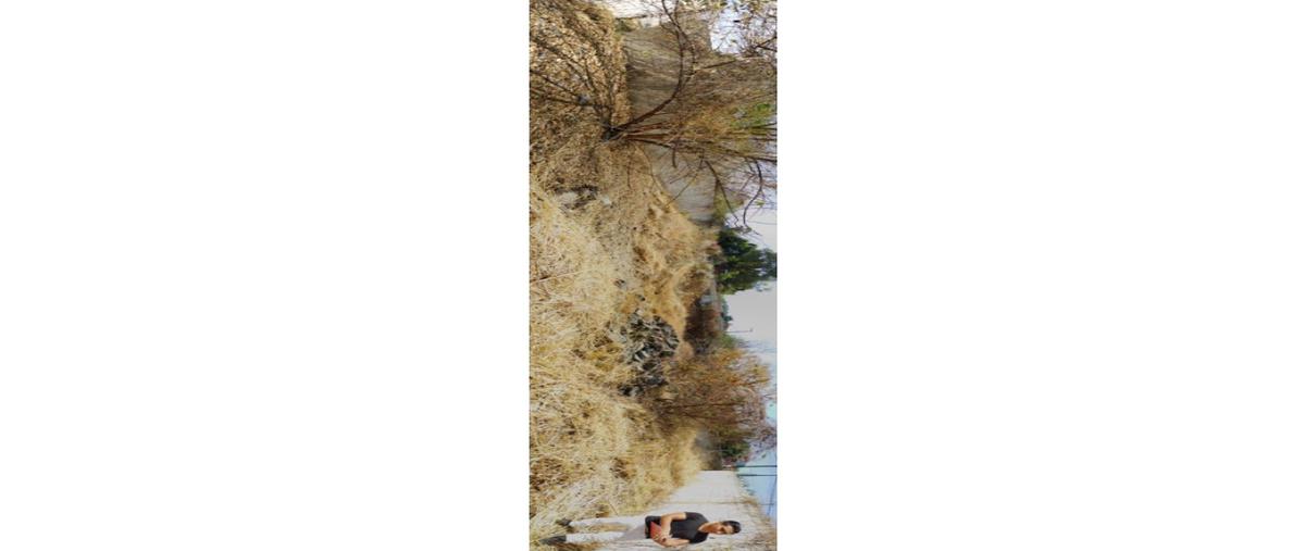 Foto de terreno habitacional en venta en  , oaxtepec centro, yautepec, morelos, 0 No. 05
