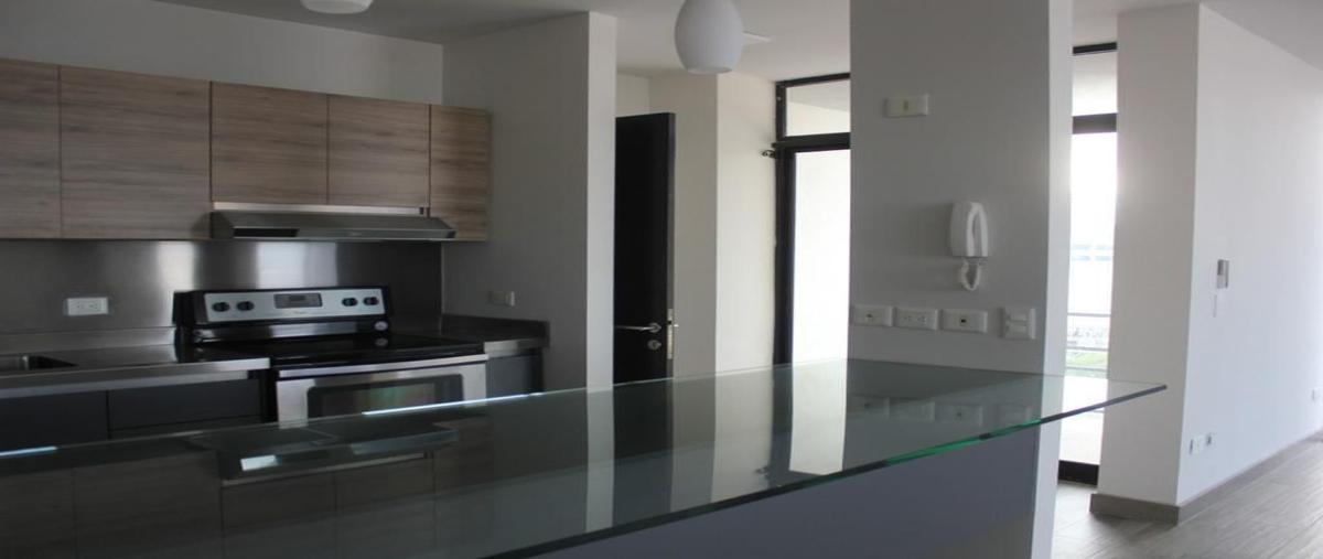 Foto de departamento en , obispado, monterrey, nuevo león, 30616718 foto 01 Foto de departamento en renta en , obispado, monterrey, nuevo león, 30616718 No. 01