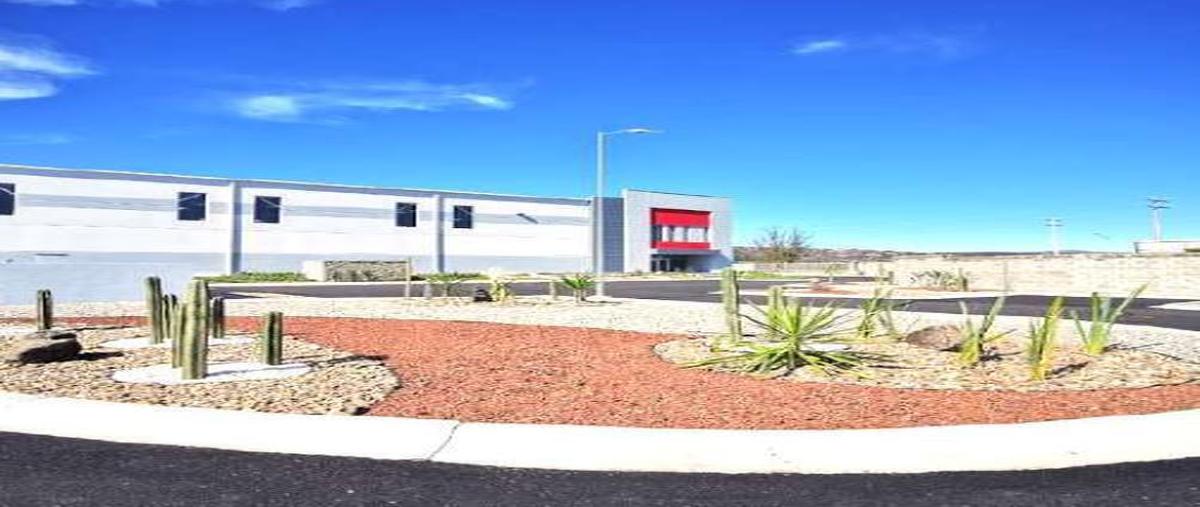Foto de nave industrial en renta en  , obrajuelo, apaseo el grande, guanajuato, 30709560 No. 04