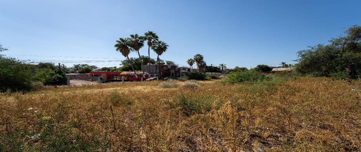 Foto de terreno habitacional en venta en obrera , centro, loreto, baja california sur, 0 No. 03
