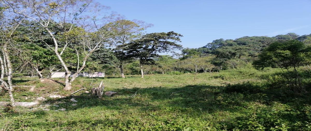 Foto de terreno habitacional en venta en  , obrera (las puentes), coatepec, veracruz de ignacio de la llave, 26205749 No. 03