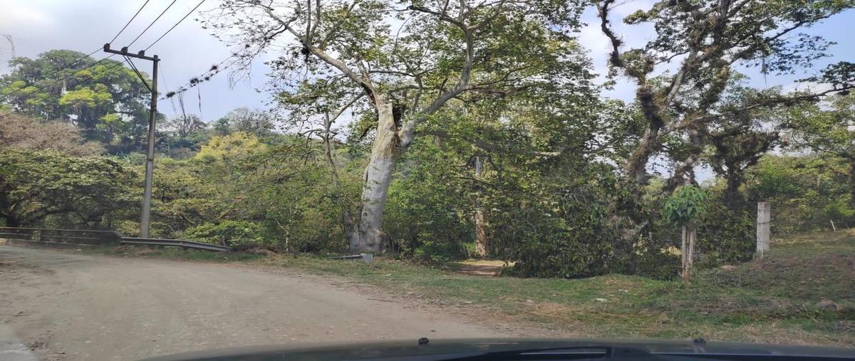 Foto de terreno habitacional en venta en  , obrera (las puentes), coatepec, veracruz de ignacio de la llave, 26205749 No. 04