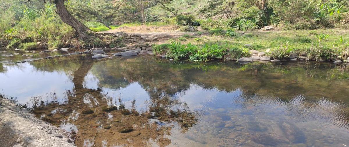 Foto de terreno habitacional en venta en  , obrera (las puentes), coatepec, veracruz de ignacio de la llave, 26205749 No. 05
