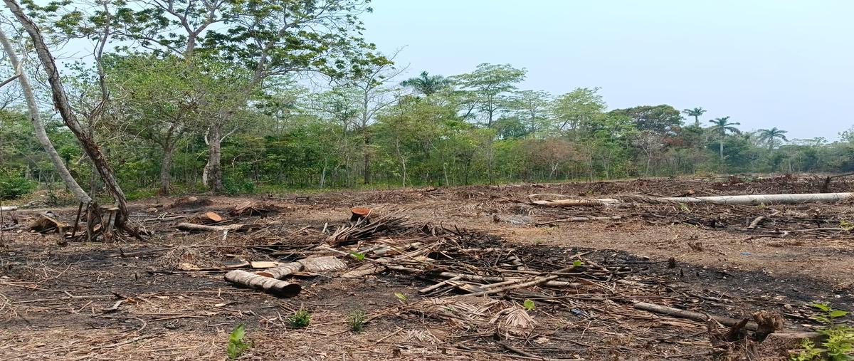 Foto de terreno habitacional en venta en  , occidente 4a sección, comalcalco, tabasco, 0 No. 04