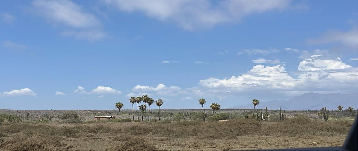 Foto de terreno habitacional en ocean front land camino a las playitas, todos santos , la esperanza, la paz, baja california sur, 31565882 foto 02 Foto de terreno habitacional en venta en ocean front land camino a las playitas, todos santos , la esperanza, la paz, baja california sur, 31565882 No. 02