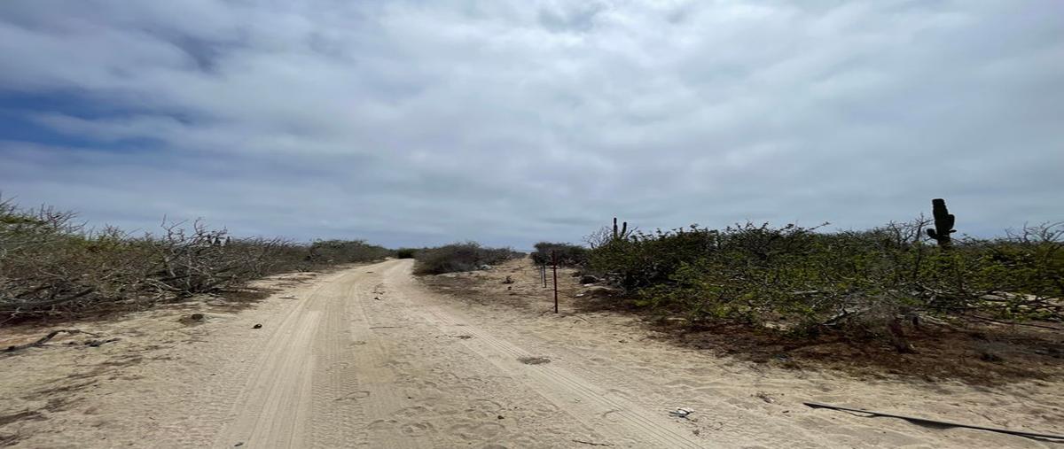 Foto de terreno habitacional en ocean front land camino a las playitas, todos santos , la esperanza, la paz, baja california sur, 31565882 foto 08 Foto de terreno habitacional en venta en ocean front land camino a las playitas, todos santos , la esperanza, la paz, baja california sur, 31565882 No. 08