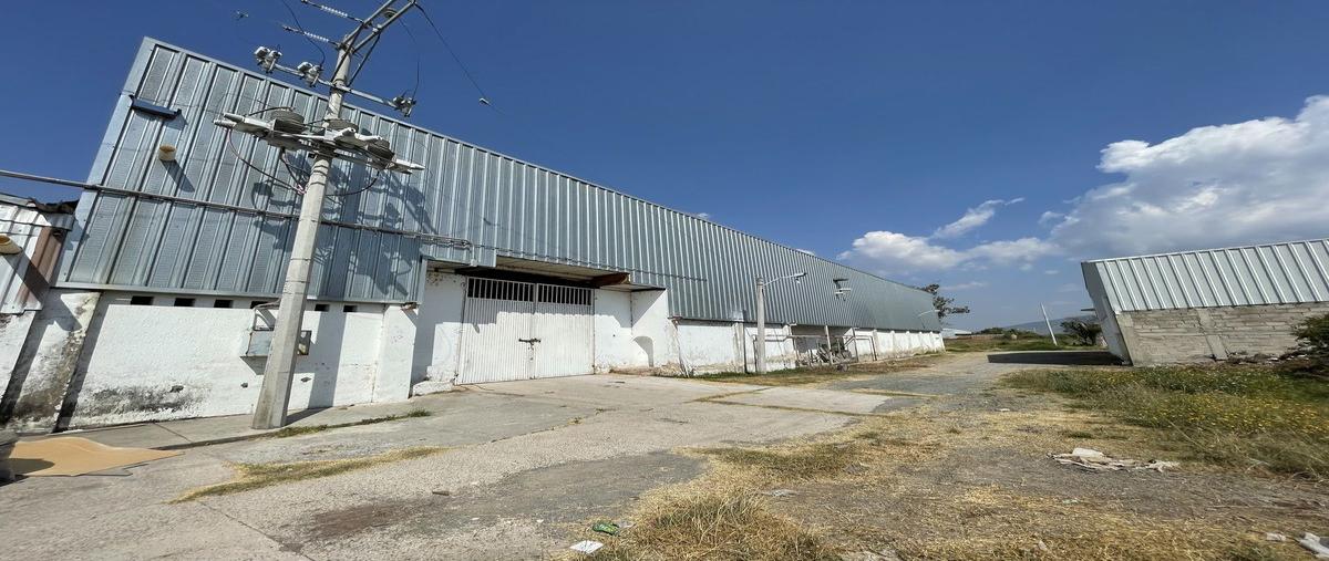 Foto de bodega en renta en ocote , ocotlán centro, ocotlán, jalisco, 0 No. 01
