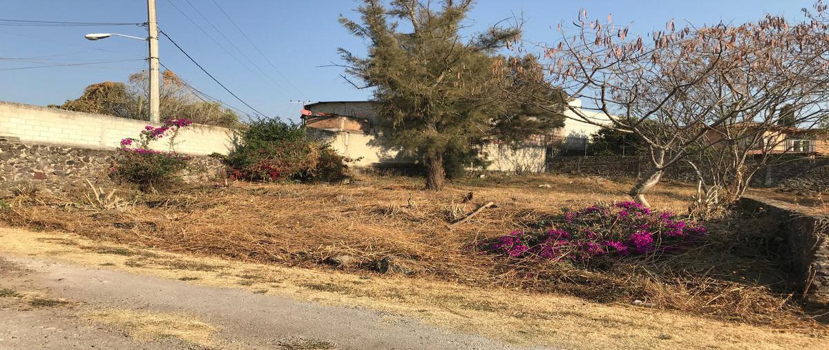 Foto de terreno habitacional en venta en  , ocotepec, cuernavaca, morelos, 0 No. 03