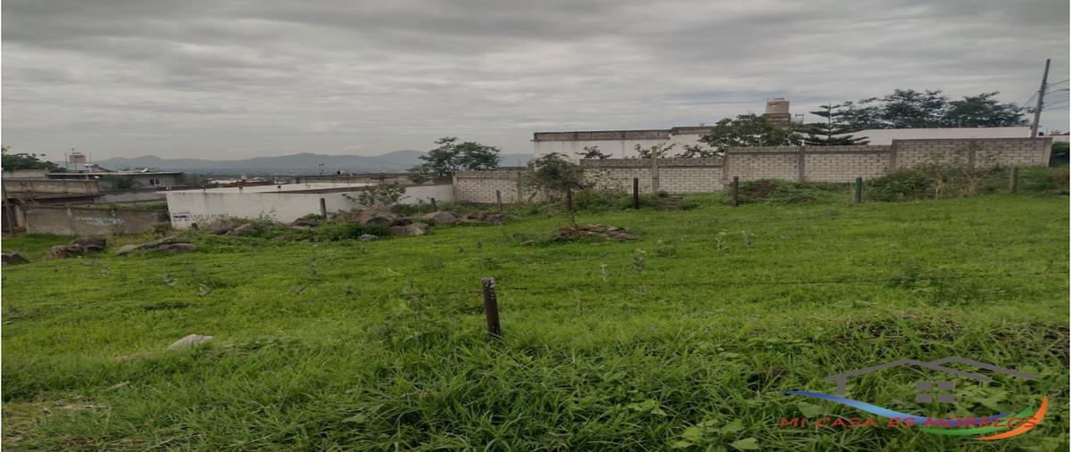 Foto de terreno habitacional en venta en  , ocotepec, cuernavaca, morelos, 0 No. 03