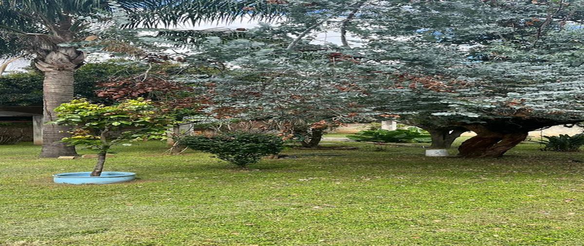 Foto de terreno habitacional en , ocotepec, cuernavaca, morelos, 0 foto 02 Foto de terreno habitacional en venta en , ocotepec, cuernavaca, morelos, 0 No. 02