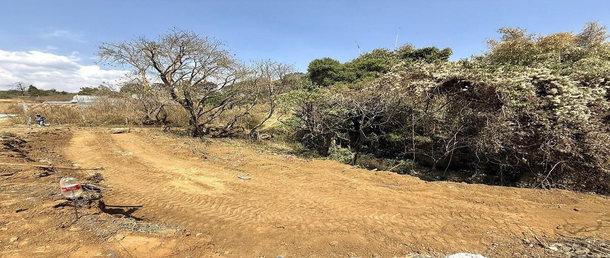 Foto de terreno habitacional en venta en  , ocotepec, cuernavaca, morelos, 30841611 No. 05