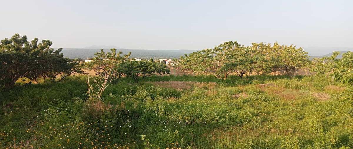 Foto de terreno habitacional en venta en ocotepec , tecomulco, cuernavaca, morelos, 30509563 No. 03