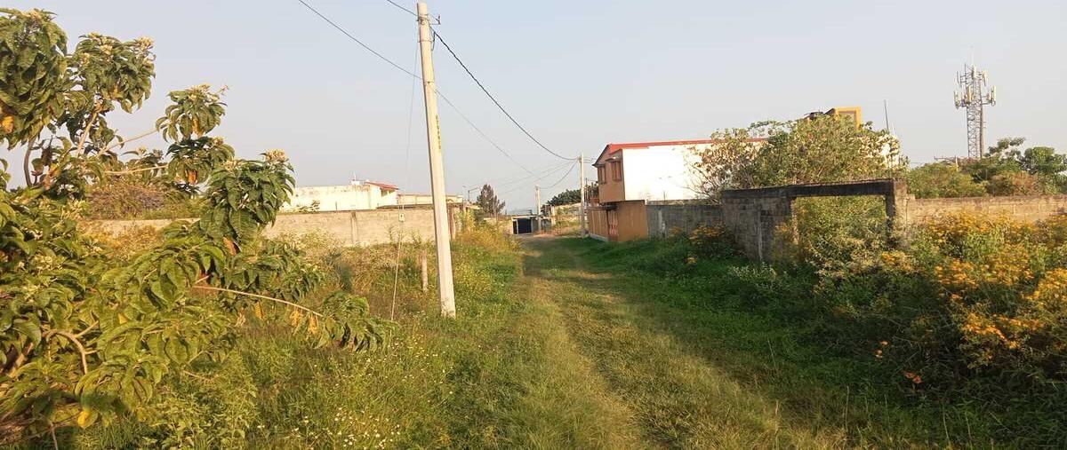 Foto de terreno habitacional en venta en ocotepec , tecomulco, cuernavaca, morelos, 30509563 No. 04