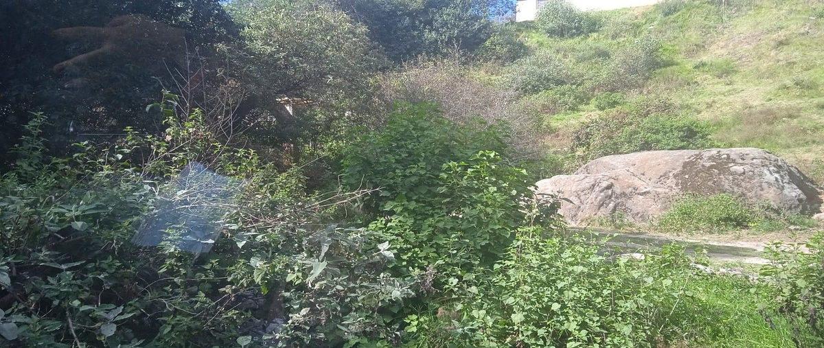 Foto de terreno habitacional en ocoyoacacmuy cerca de la carretera a capuluac , centro ocoyoacac, ocoyoacac, méxico, 0 foto 03 Foto de terreno habitacional en venta en ocoyoacacmuy cerca de la carretera a capuluac , centro ocoyoacac, ocoyoacac, méxico, 0 No. 03