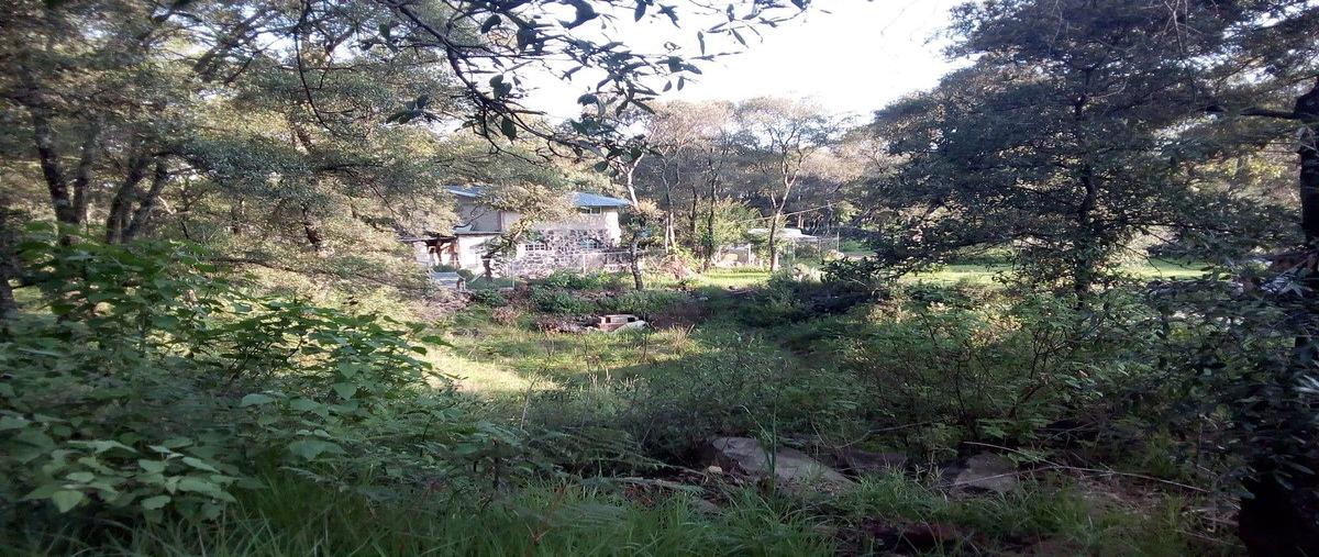 Foto de terreno habitacional en ocoyoacacmuy cerca de la carretera a capuluac , centro ocoyoacac, ocoyoacac, méxico, 0 foto 04 Foto de terreno habitacional en venta en ocoyoacacmuy cerca de la carretera a capuluac , centro ocoyoacac, ocoyoacac, méxico, 0 No. 04