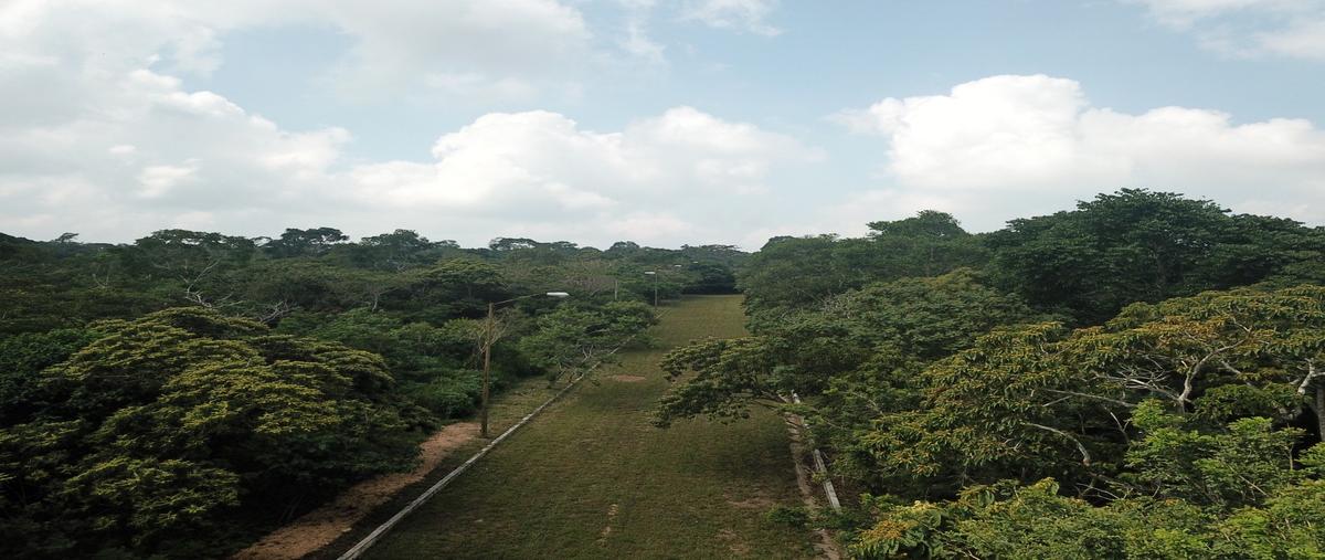 Foto de terreno habitacional en venta en . , ocozocoautla de espinosa centro, ocozocoautla de espinosa, chiapas, 0 No. 04