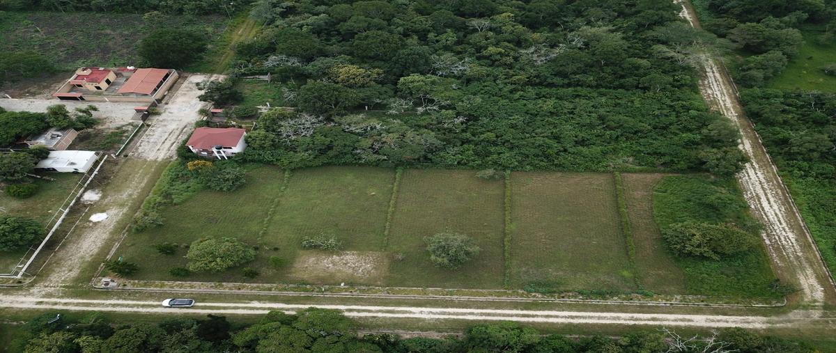Foto de terreno habitacional en venta en . , ocozocoautla de espinosa centro, ocozocoautla de espinosa, chiapas, 0 No. 05