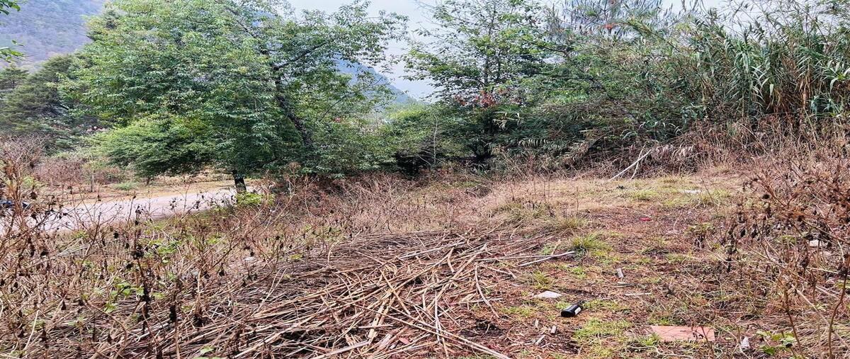 Foto de terreno habitacional en octavio paz , villas campestre el carmen, san cristóbal de las casas, chiapas, 29481621 foto 05 Foto de terreno habitacional en venta en octavio paz , villas campestre el carmen, san cristóbal de las casas, chiapas, 29481621 No. 05