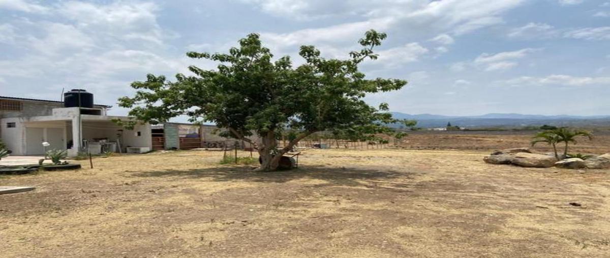 Foto de casa en venta en  , ocuituco, ocuituco, morelos, 0 No. 04