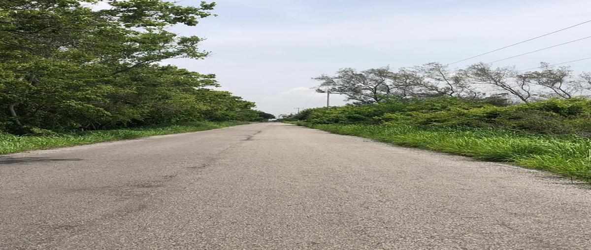 Foto de terreno habitacional en venta en  , ojital, pueblo viejo, veracruz de ignacio de la llave, 0 No. 03