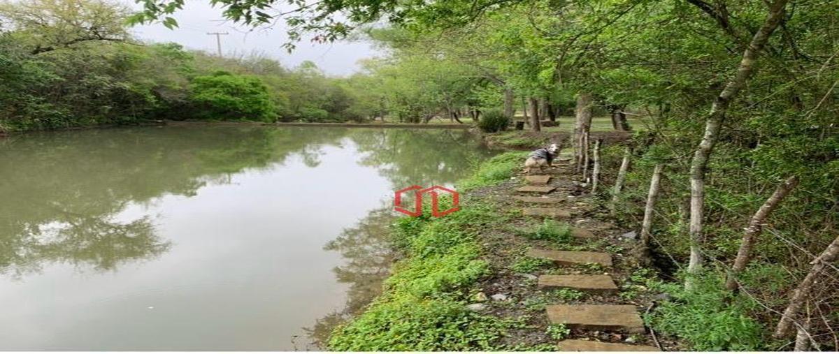 Foto de terreno habitacional en venta en  , ojo de agua, montemorelos, nuevo león, 0 No. 03
