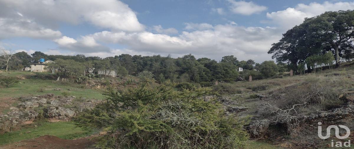 Foto de terreno habitacional en venta en ojo de agua , ojo de agua, huasca de ocampo, hidalgo, 28722106 No. 03