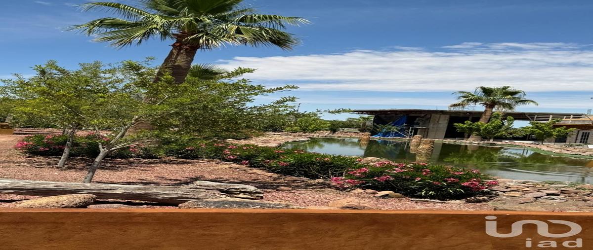 Foto de terreno habitacional en venta en ojo de la casa , samalayuca, juÃ¡rez, chihuahua, 30256292 No. 03