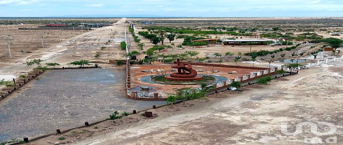 Foto de terreno habitacional en venta en ojo de la casa , samalayuca, juÃ¡rez, chihuahua, 30256292 No. 05