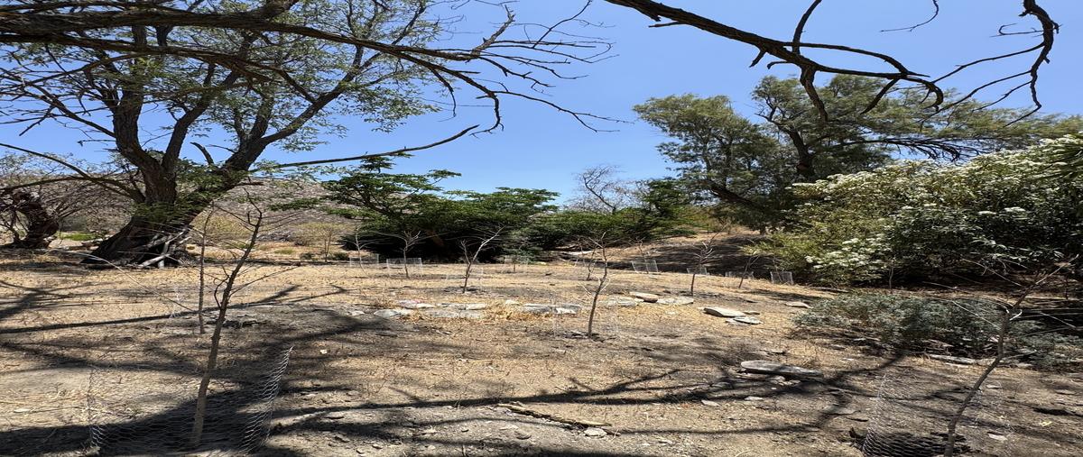 Foto de rancho en venta en  , ojos negros, ensenada, baja california, 30020082 No. 04