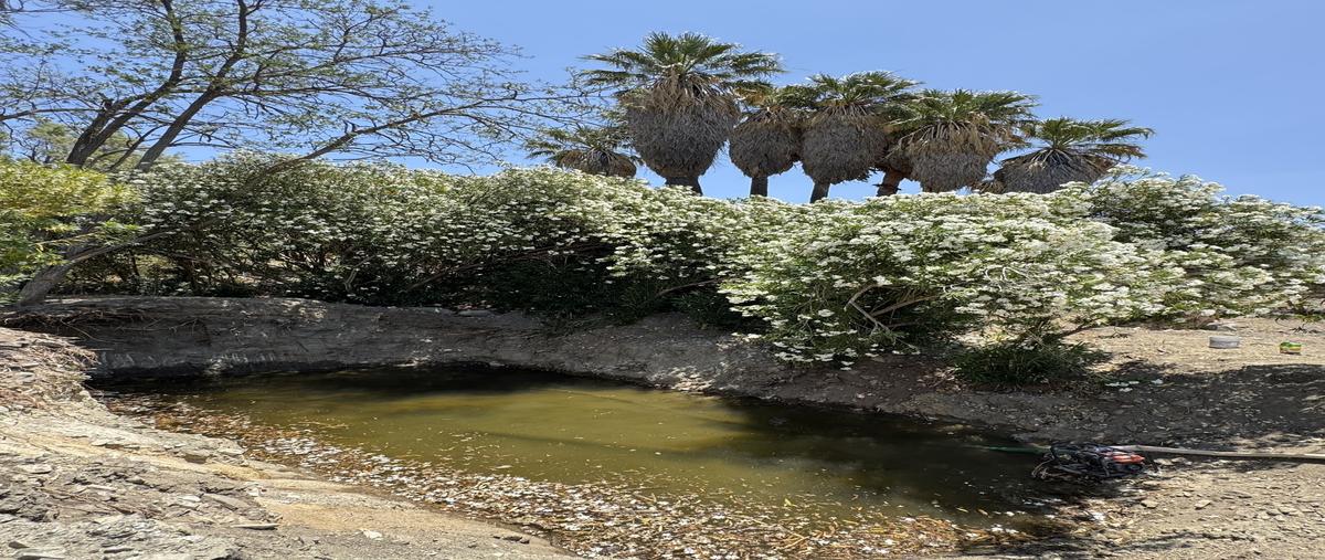 Foto de rancho en venta en  , ojos negros, ensenada, baja california, 30020082 No. 05