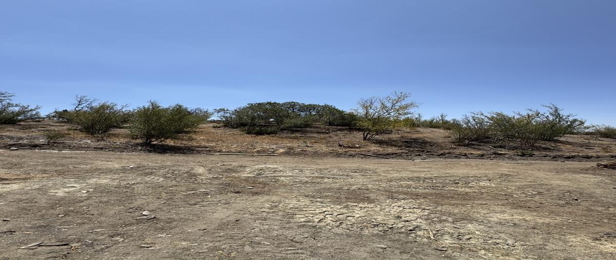 Foto de terreno habitacional en venta en  , ojos negros, ensenada, baja california, 0 No. 05