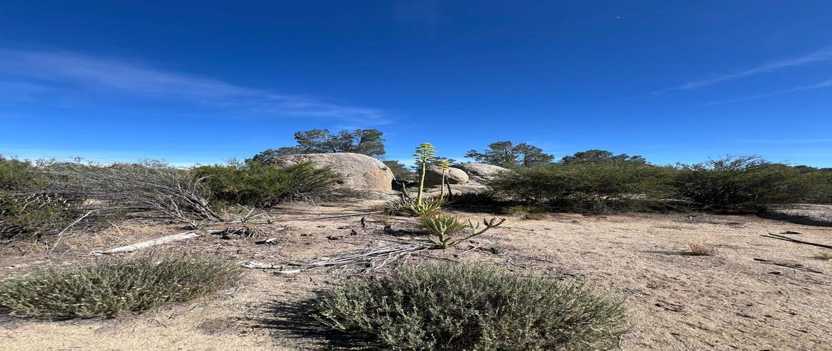 Foto de terreno habitacional en venta en ojos negros , ojos negros, ensenada, baja california, 0 No. 03